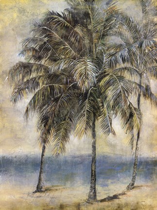 Framed Palm Hammock II Print