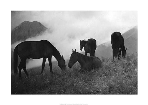 Framed Morning Mist Print