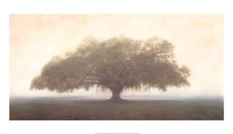 Framed Oak in the Fog Print