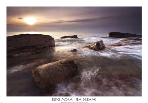 Framed Sea Dreams Print