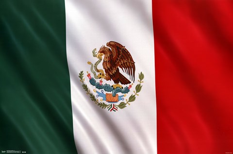 Framed Bandera de Mexico 13 Print