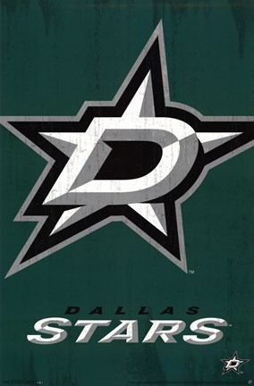 Framed Dallas Stars™ - Logo 13 Print