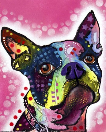 Framed Boston Terrier Print