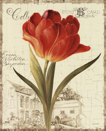 Framed Garden View III - Red Tulip Print
