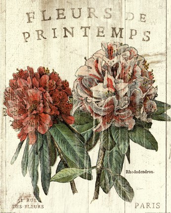 Framed Fleur de Printemps Print