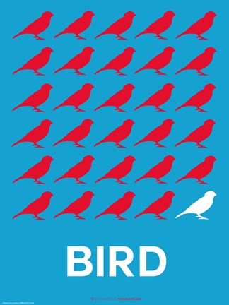 Framed Bird Poster Print