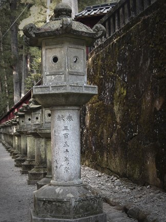 Framed Gate Sculptures Print