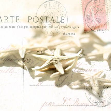 Framed Postal Shells II Print