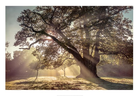 Framed Breaking Through Print