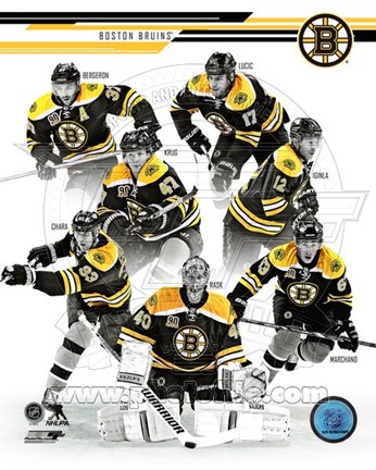 Framed Boston Bruins 2013-14 Team Composite Print