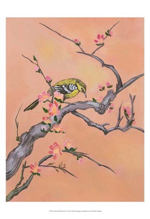 Framed Asian Bird Illustration I Print