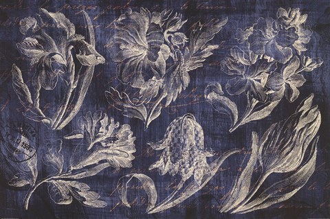 Framed Vintage Tulip Floral Etching Indigo Print