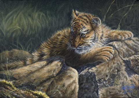 Framed Young Tiger Print