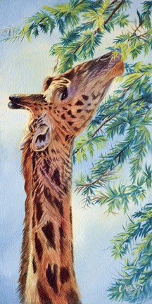 Framed Giraffe Print