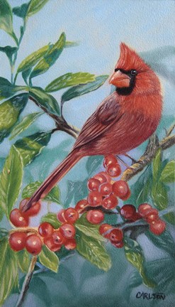 Framed Cardinal And Berries Print