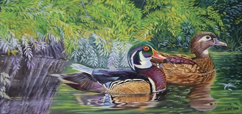 Framed Bayou Wood Ducks Print