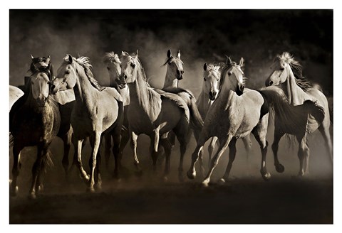 Framed Dream Horses Print
