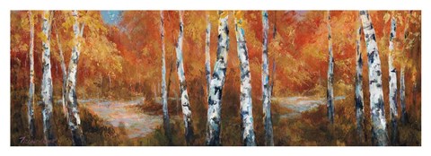 Framed Autumn Birch II Print