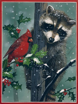 Framed Raccoon - winter Print