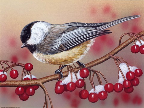 Framed Chickadee With Berries Print
