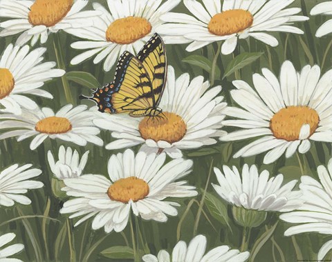 Framed Daisies And Butterfly Print