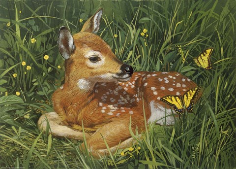 Framed Fawn Print