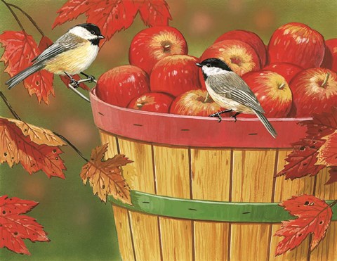 Framed Apples In Basket With Chickadees Print