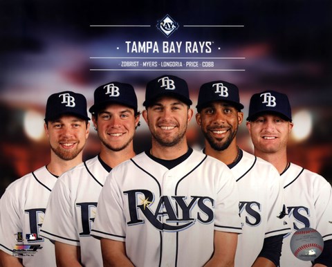 Framed Tampa Bay Rays 2014 Team Composite Print