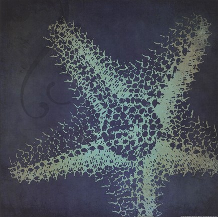 Framed Starfish Silhouette Print