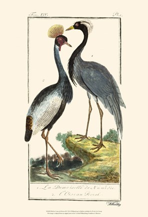 Framed Buffon Cranes &amp; Herons II Print