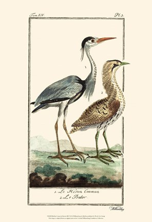 Framed Buffon Cranes &amp; Herons III Print