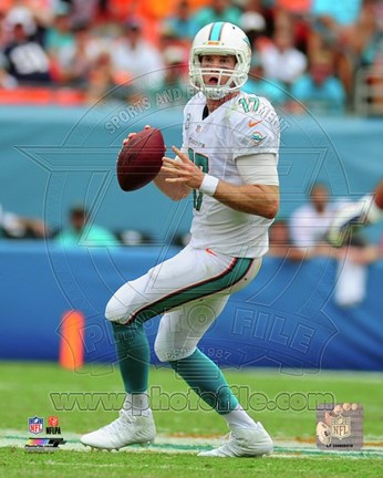 Framed Ryan Tannehill 2014 Action Print