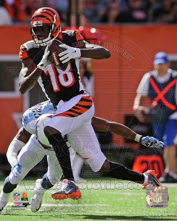 Framed A.J. Green with the ball 2014 Print