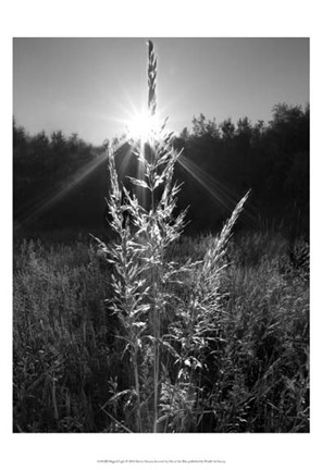 Framed Magical Light Print