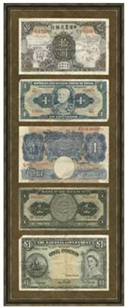 Framed Foreign Currency Panel II Print