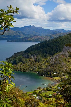 Framed Queen Charlotte Track, Marlborough Sounds, South Island, New Zealand Print