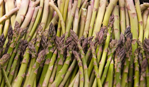 Framed Asparagus, Marlborough, South Island, New Zealand Print