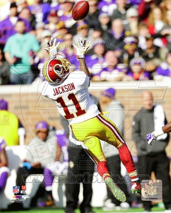 Framed DeSean Jackson catching the ball 2014 Print