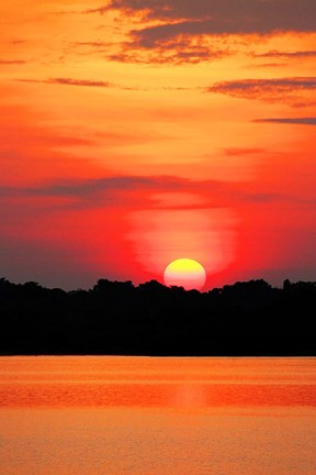 Framed Amazon Jungle, Brazil, Sunset Print