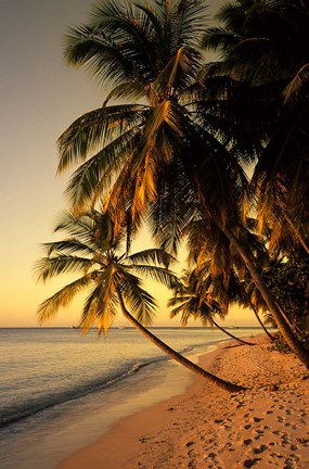 Framed Beach at Sunset, Trinidad, Caribbean Print