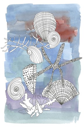 Framed Sea Shell I Print