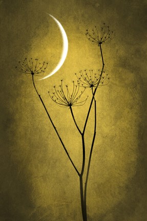 Framed Yellow Crescent Moon Print