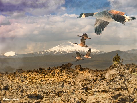 Framed Flying Over Lava Land Print