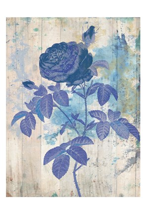 Framed My Blue Rose Print