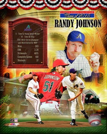 Framed Randy Johnson MLB Hall of Fame Legends Composite Print