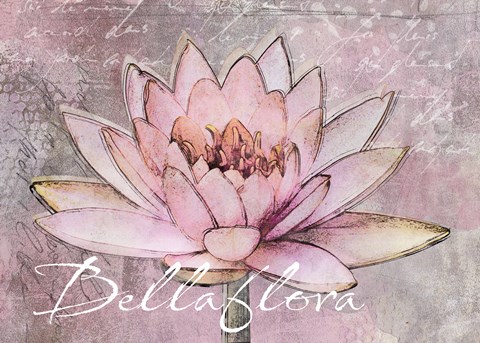 Framed Lotus Bellaflora Print