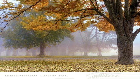 Framed Autumn Gold Print