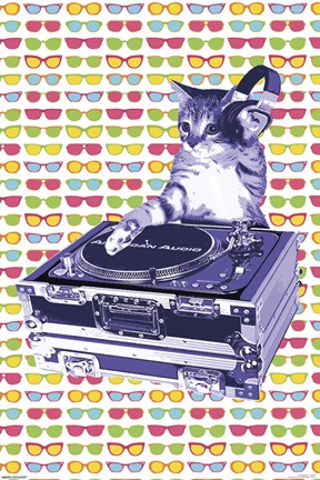 Framed Steez - Cat DJ Print