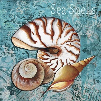 Framed Sea Shells Print