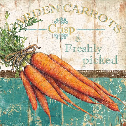 Framed Garden Carrots Print